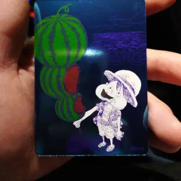 ONE PIECE 나츠코미 2026 특제 카드 루피
