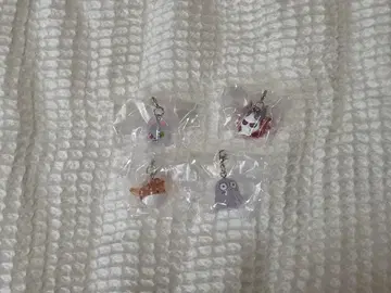 CR 메지루시 액세서리