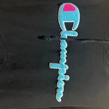 Champion 블랙 후드티 파일 로고