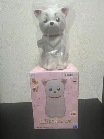 은혼 사다하루 룸 라이트