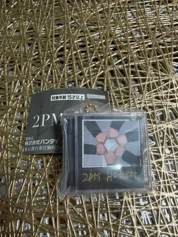 미개봉 2PM 미니 CD 컬렉션 가챠가챠 시크릿 반다이