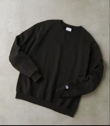 Champion PULLOVER 오버 사이즈 풀오버 크루넥