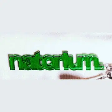 나토리 natarium 아크릴 키링 그린