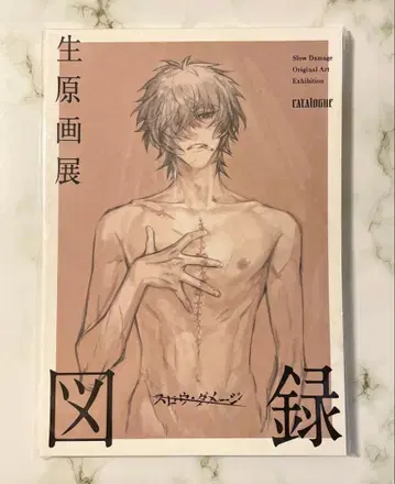 슬로우 데미지 생원화전 도록 슬로우 데미지