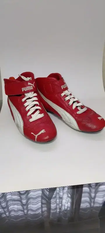 PUMA 드라이빙 슈즈 25.5cm