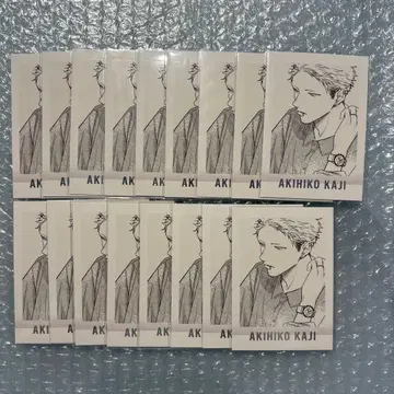 기븐전 파샤코레 premium 카지 아키히코 17장 세트