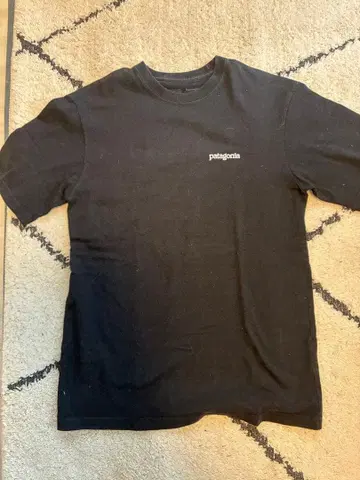 Patagonia T셔츠 2장 세트