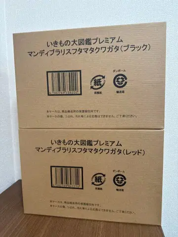 생물대도감 프리미엄 맨디브라리스 후타마타 사슴벌레
