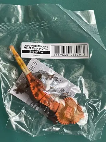 생물대도감 쁘띠 크레스티드 게코 바이컬러