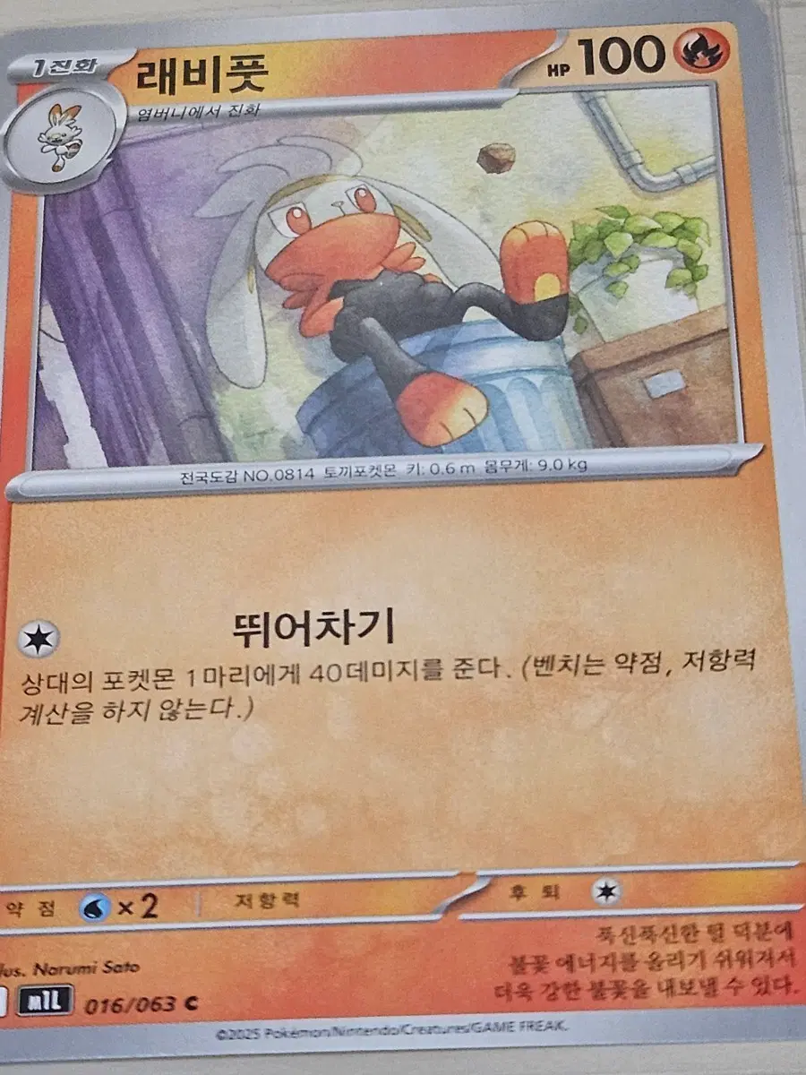 [최저가] 포켓몬 카드 래비풋 016/063 C