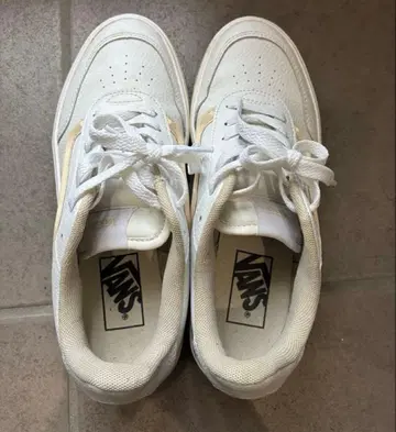 VANS ISSAC V3942 스니커즈