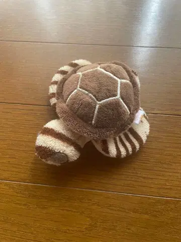 거북이 봉제 인형