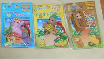 지역 한정 큐피 오키나와 친스코 파인애플 시사 묶음 판매