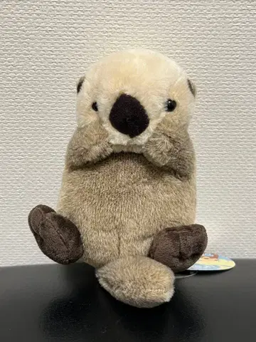 2 토바 수족관 포차마루 랏코 키라