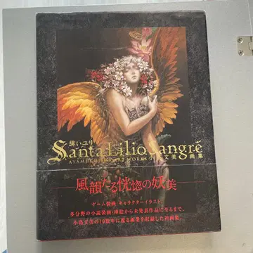 [초판 오비 포함 레어] 코지마 후미미 화집 붉은 백합