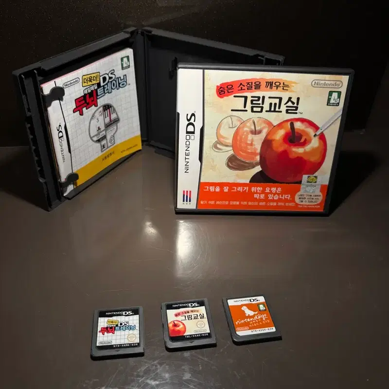 닌텐도 DS 그림교실 + 닌텐독스 + 두뇌교실 칩