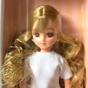 리카짱 캐슬 2026년도판 버스데이 모델 리카짱