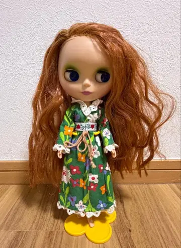 Blythe 브라이스 인형