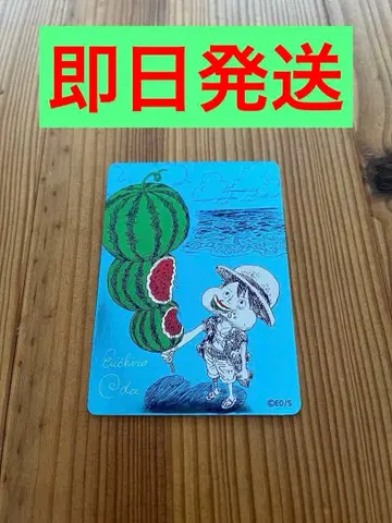 ONE PIECE 나츠코미 여름코미 원피스