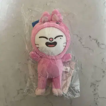 스키즈 SKZOO 지니렛 백참 스키즈토이 월드 현진