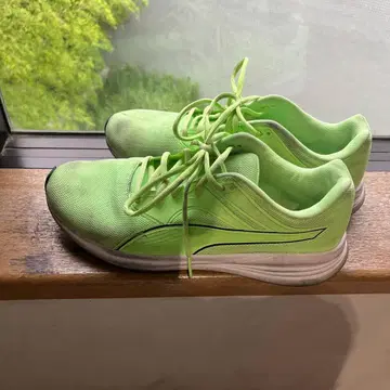 PUMA 러닝화 라이트 그린