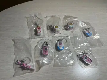 변신 메지루시 액세서리 프리큐어