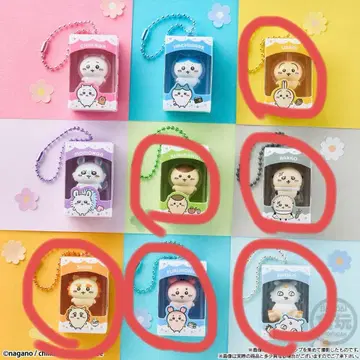 치이카와 초코 박스