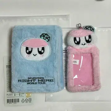 seventeen 세븐틴 세부치 봉봉이 트레이딩 카드 케이스 콜렉트북