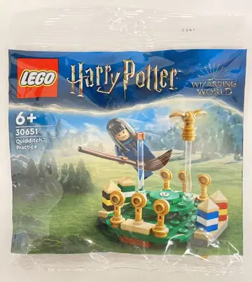 LEGO (POLY BAG) QUIDDITCH PRACTICE 30651