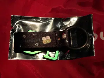 Zepp DiverCity 하피단부이 케로피 카라비너