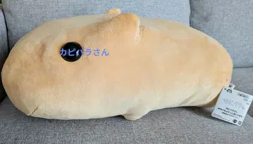 가격 인하 중~ 카피바라 씨 메챠모훗토 봉제 인형