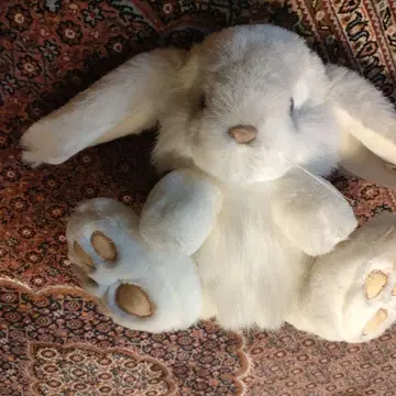 토끼 봉제 인형 화이트