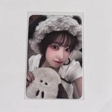 QWER qwer 마젠타 Algorithm's 트레이딩 카드