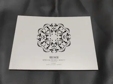 은혼 소책자 설정 자료 마츠모토 란기쿠 이노우에 오리히메 할리벨