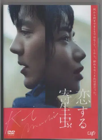 일본 국내 영화 DVD 사랑스러운 기생충