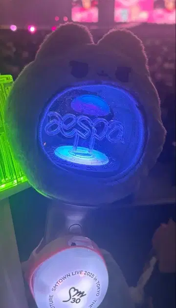 aespa 카리나 응원봉 커버 지민냥 봉제 인형 굿즈 트레이딩 카드