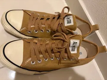 Converse All Star 스니커즈 베이지