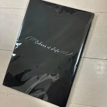 ECHOES OF LIFE 스토리북 하뉴 유즈루