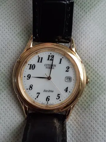 CITIZEN FORMA Eco-Drive 손목시계