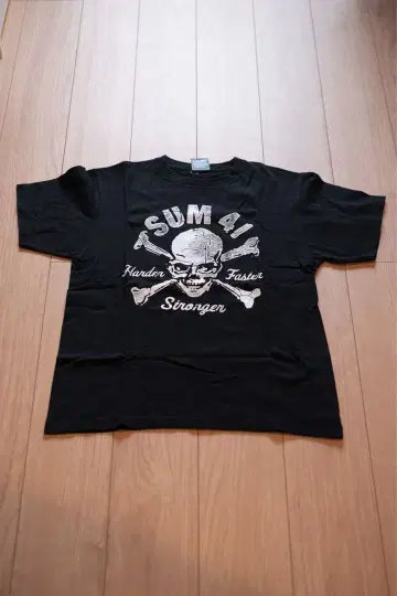 SUM41 반티 스컬 디자인