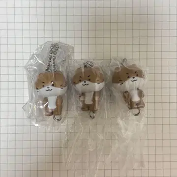 [당일 발송] miniteen 디노 가챠 3개 세트