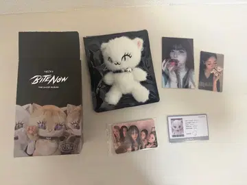 MEOVV 안나 고양이 키링 세트