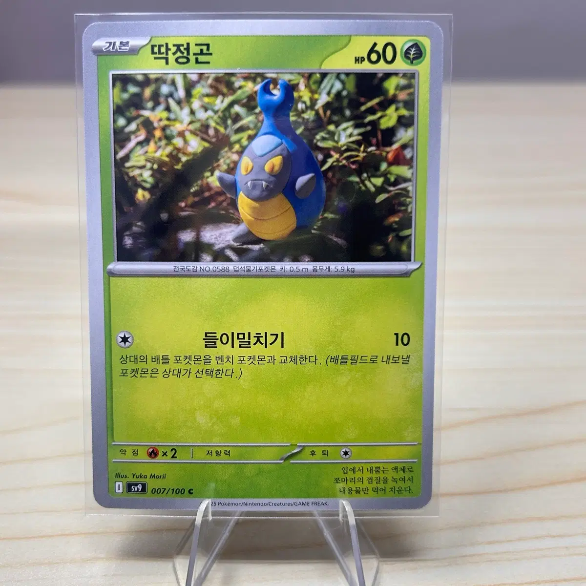 [포켓몬카드] 딱정곤 sv9 007/100 C