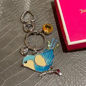 레어템 juicy couture 새 버드 파랑 스카이블루 그린 실버