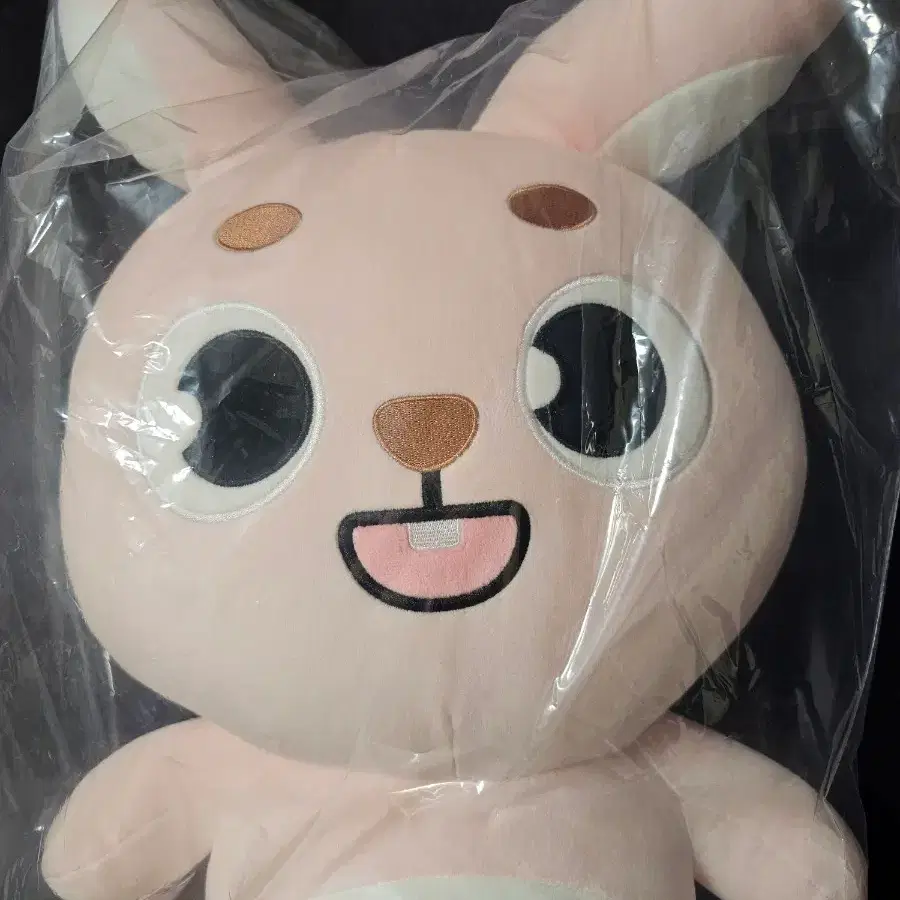 Day6 Lightband Custom Case wts | Bunjang Global