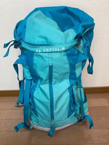 THE NORTH FACE W TELLUS 42 백팩 여성용