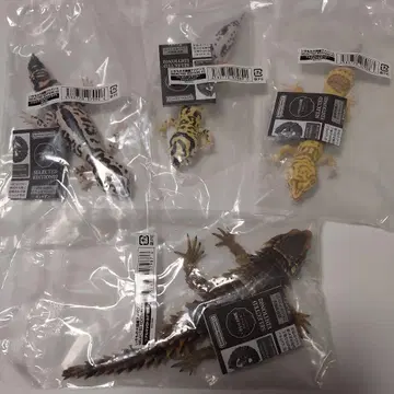생물대도감 어드밴스 SELECTED EDITION 02 전4종 세트