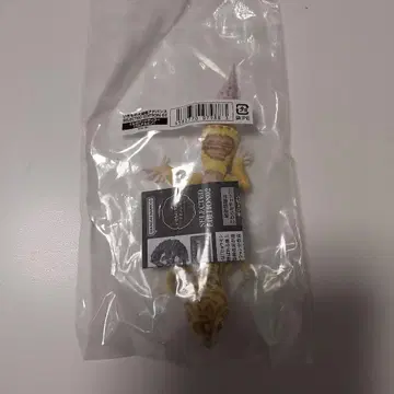 생물대도감 어드밴스 레오파드게코 벨알비노 온라인판