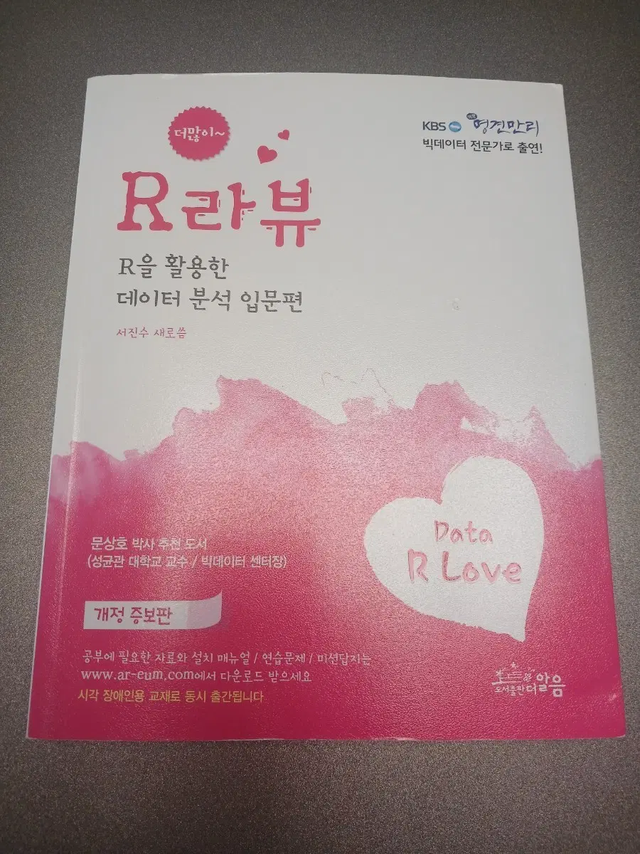 R라뷰