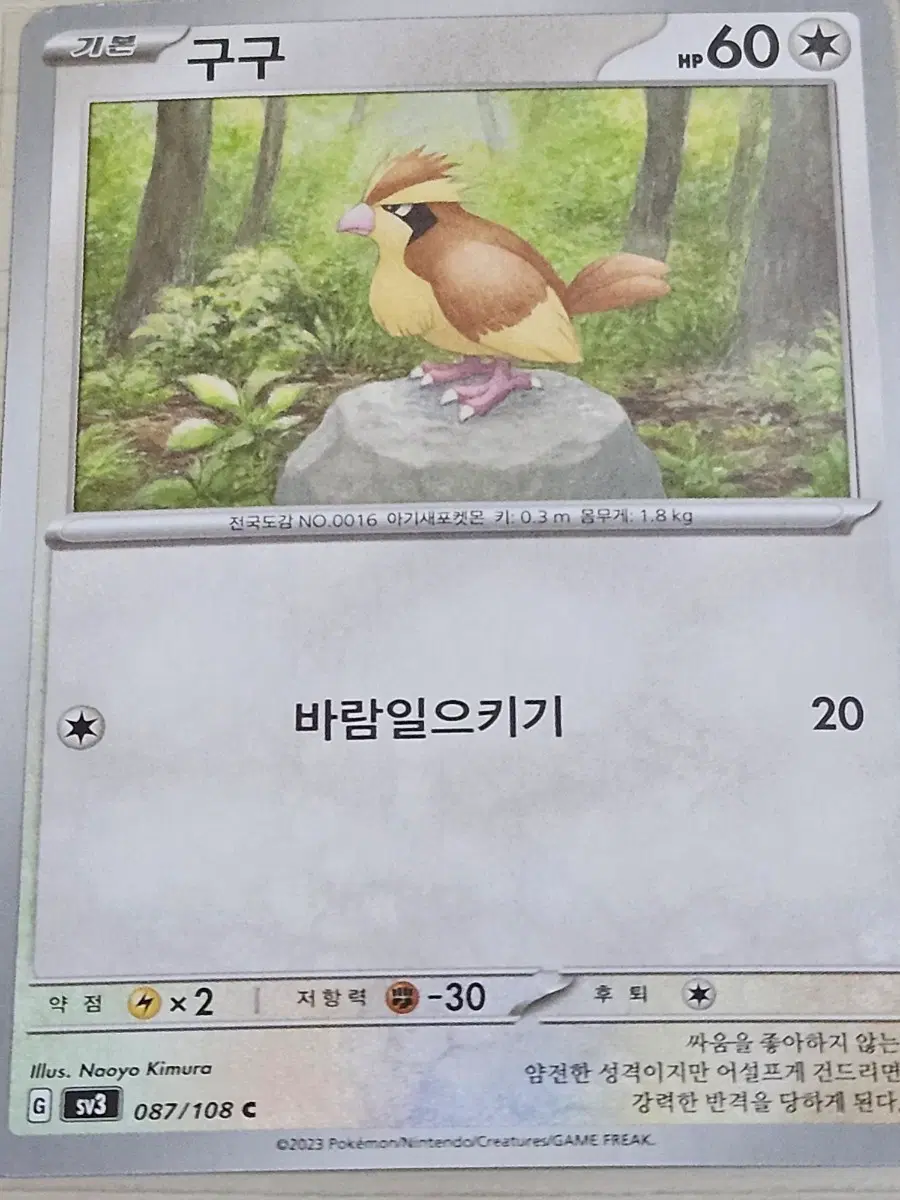 [득템] 포켓몬 카드 구구 087/108 C